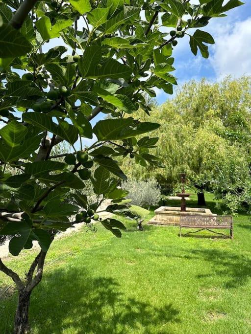 Villa Des Jacinthes Tarascon Bagian luar foto