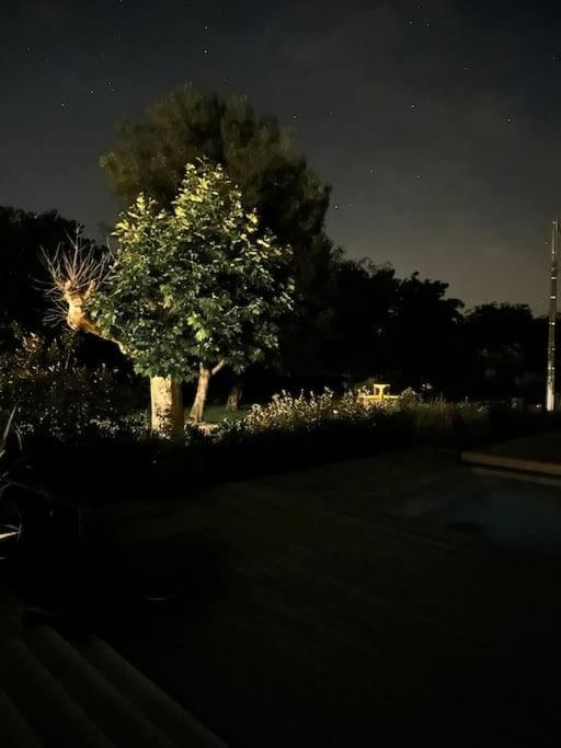 Villa Des Jacinthes Tarascon Bagian luar foto